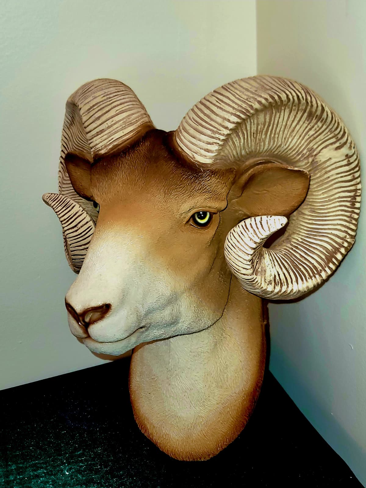 WhatsApp Image 2026-03-24 at 7.44.28 PM